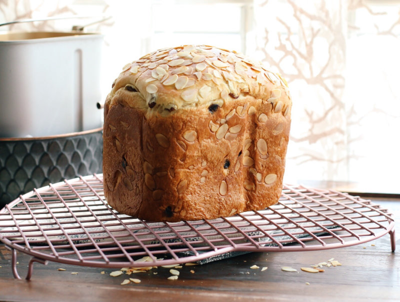 Step-by-Step Instructions for Making Guguhoff Bread in a Bread Machine