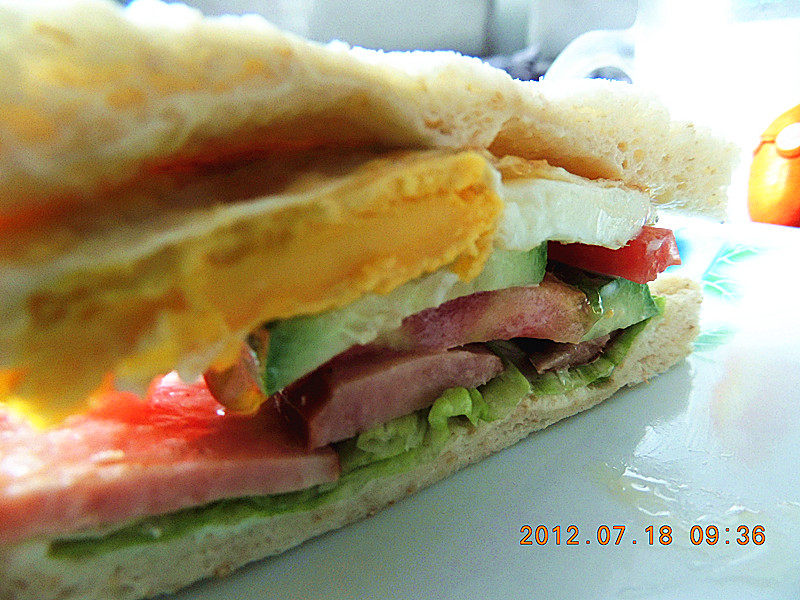 Homemade Sandwich