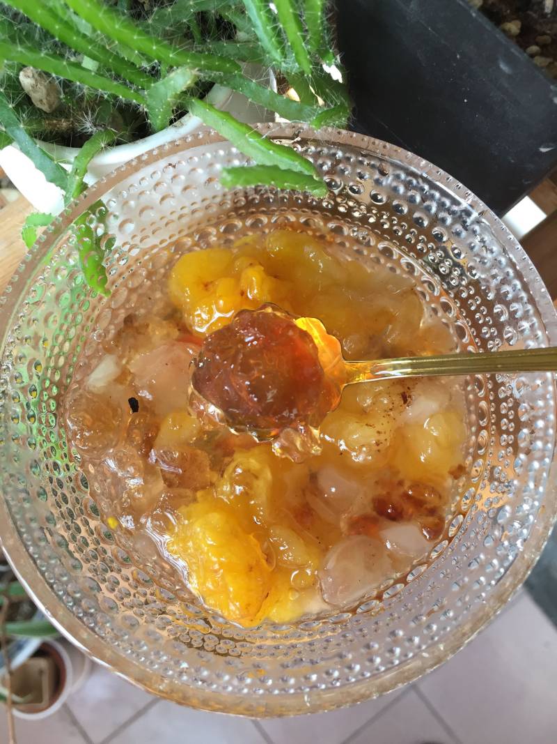 Peach Gum, Soapberry, and Tremella Porridge