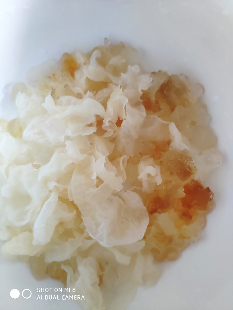 Steps for making Peach Gum, Bird's Nest, Coix Seed, and Snow Fungus Soup