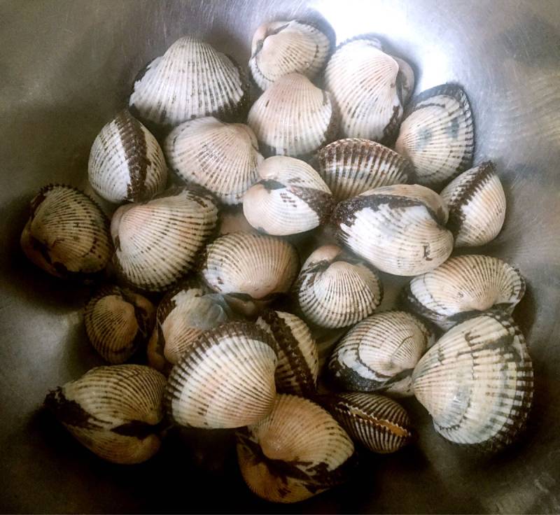 Steps for Cooking Delicious Hairy Clams