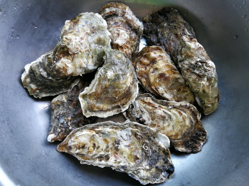 Steps for Cooking Steamed Oysters with Garlic and Vermicelli