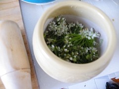 Yimeng Xiaocai - Pickled Garlic Chives Flowers Cooking Steps