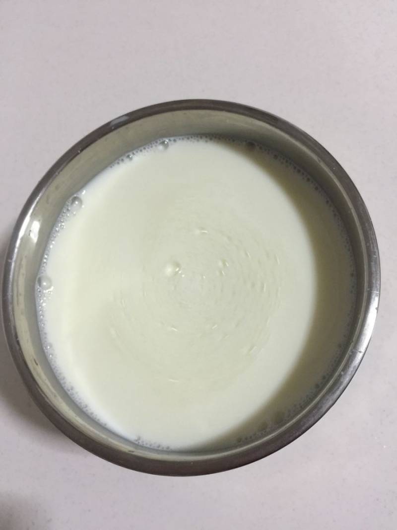 Steps for Making Yogurt from Fresh Milk