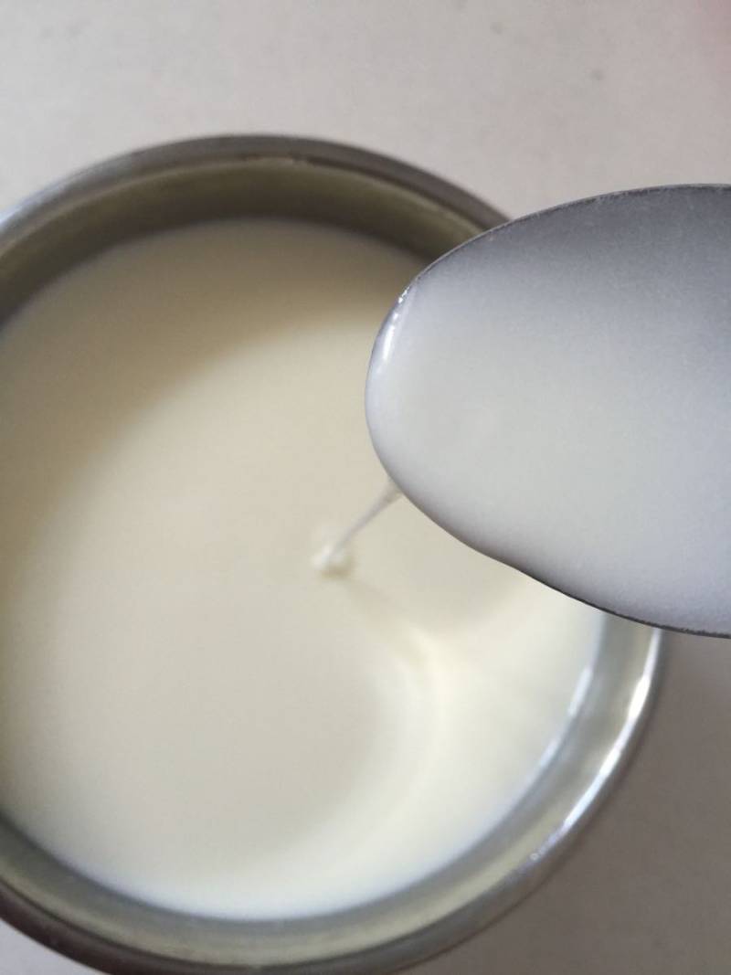 Steps for Making Yogurt from Fresh Milk