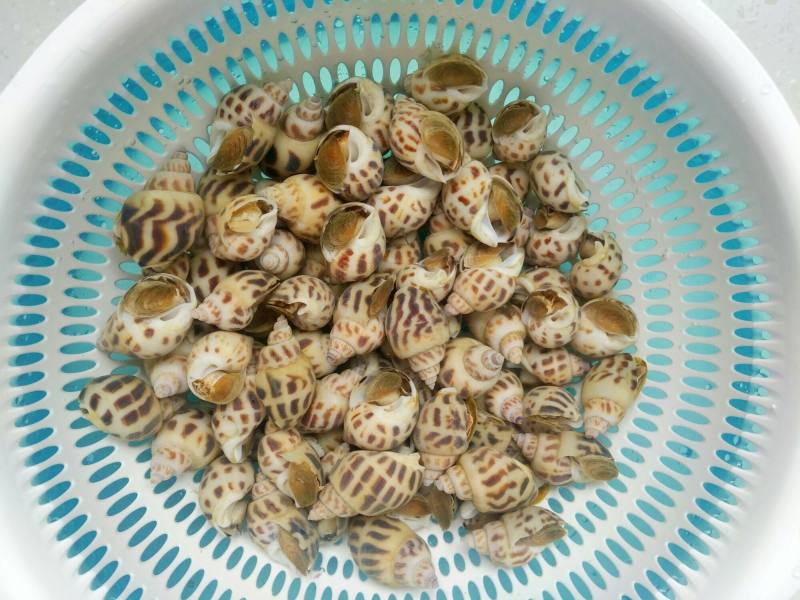 Steps for Making Spicy Stir-Fried Whelk