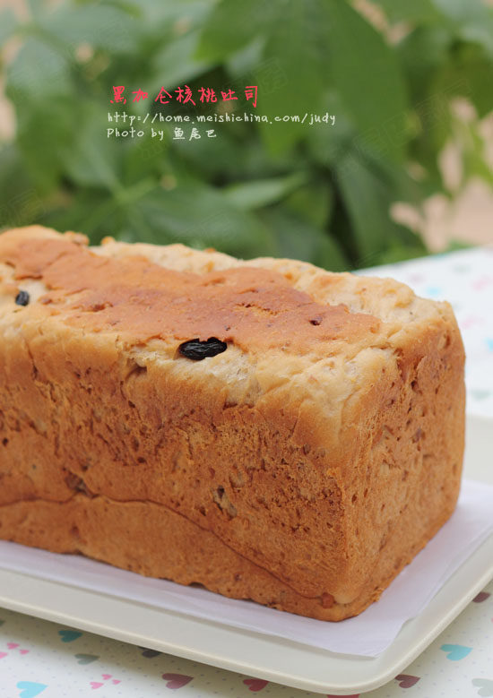 Enjoy Bread While Keeping Healthy - Black Currant Walnut Toast (Tangzhong Method) Step-by-Step