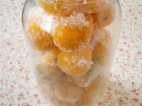 Salted Kumquats