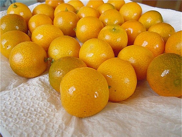 Steps to Make Salted Kumquats