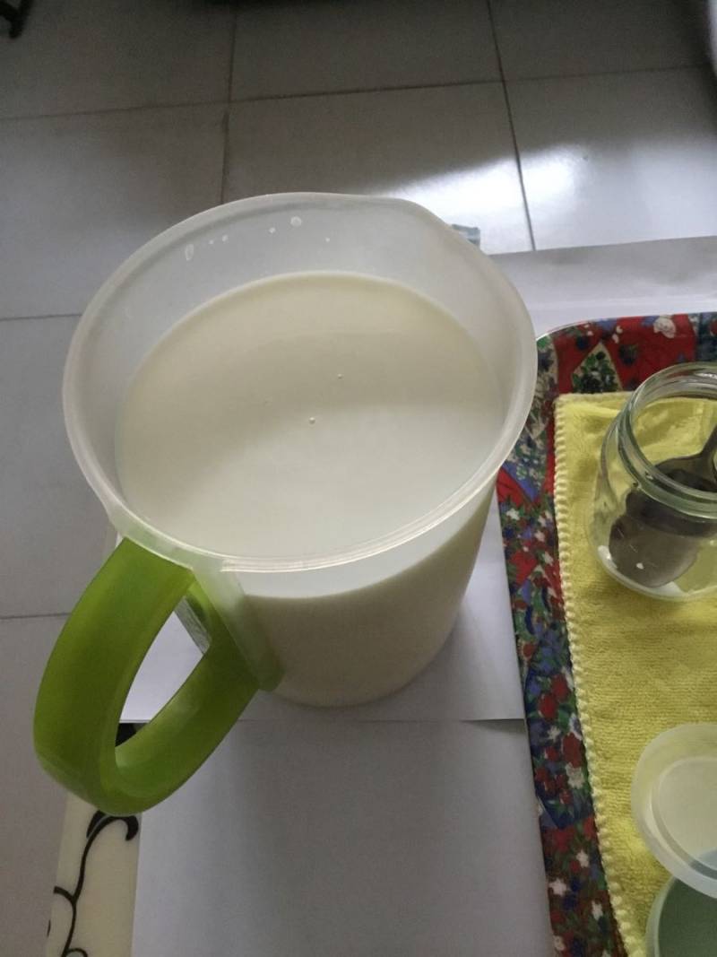 Caucasian Yogurt, Truly Different Yogurt Making Steps