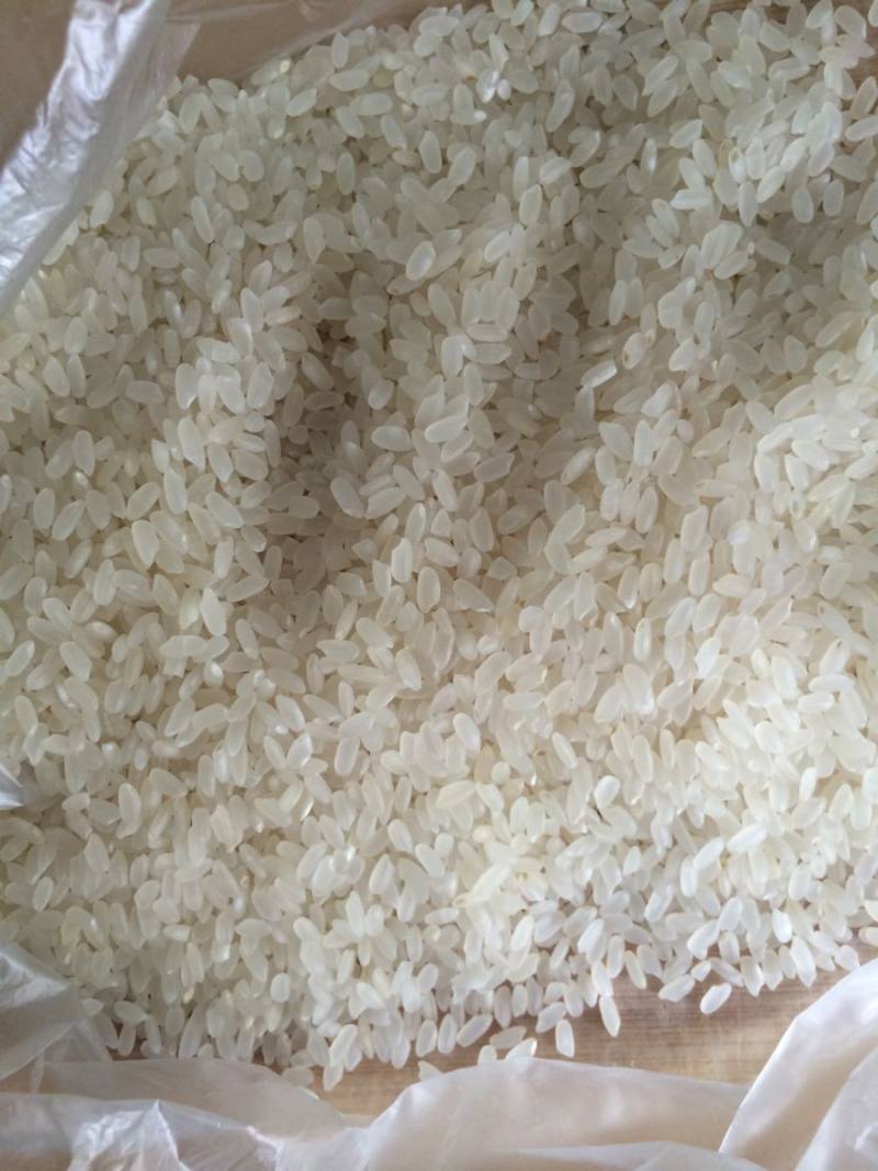 Steps for Cooking Steamed Rice with Water Separation