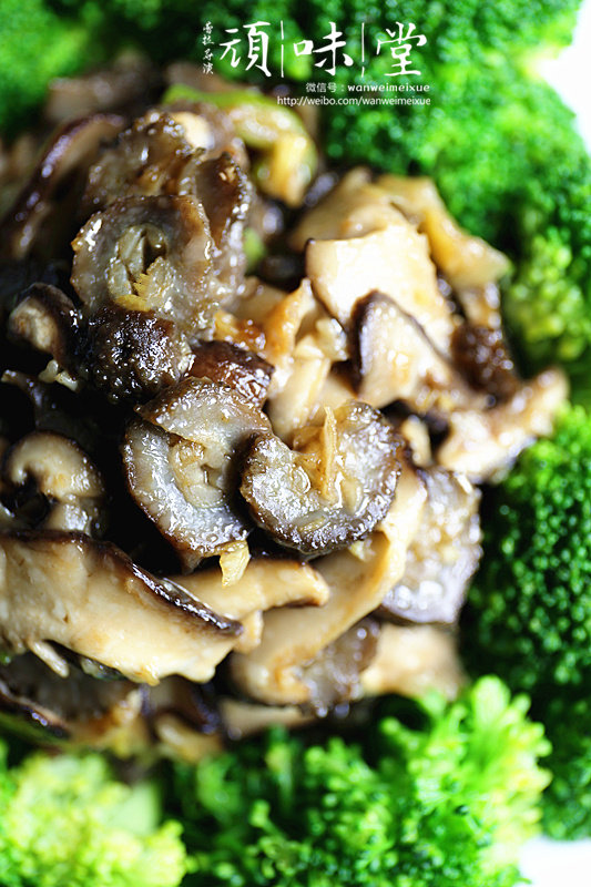 Stewed Sea Cucumber with Shiitake Mushroom and Oyster Sauce