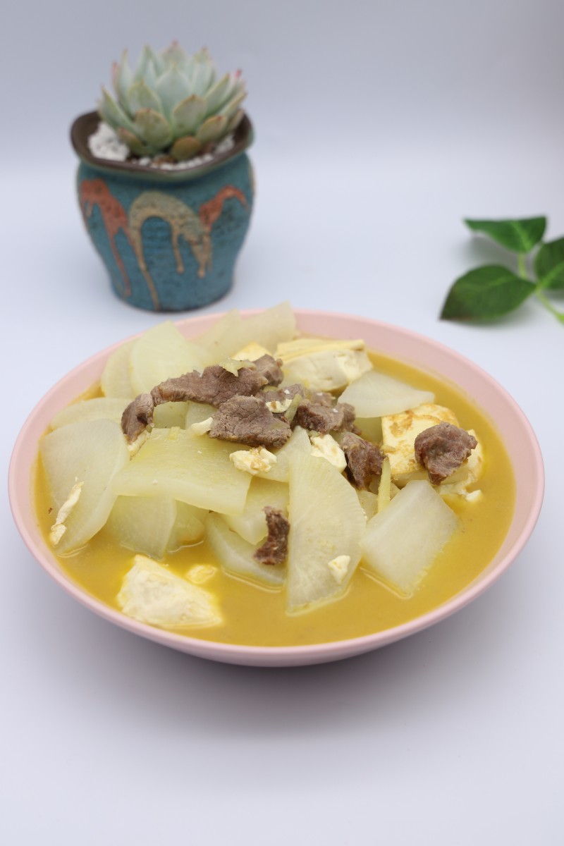 Beef and Tofu Stew with Carrots