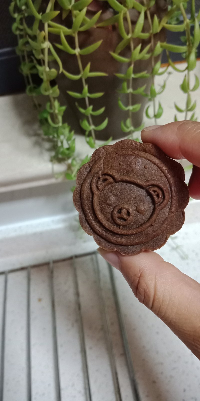 Chocolate Mooncakes