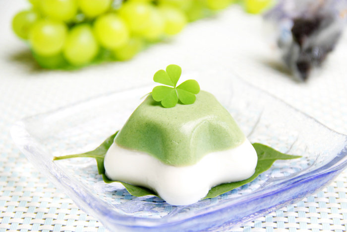 Recipe for Two-Tone Matcha Pudding