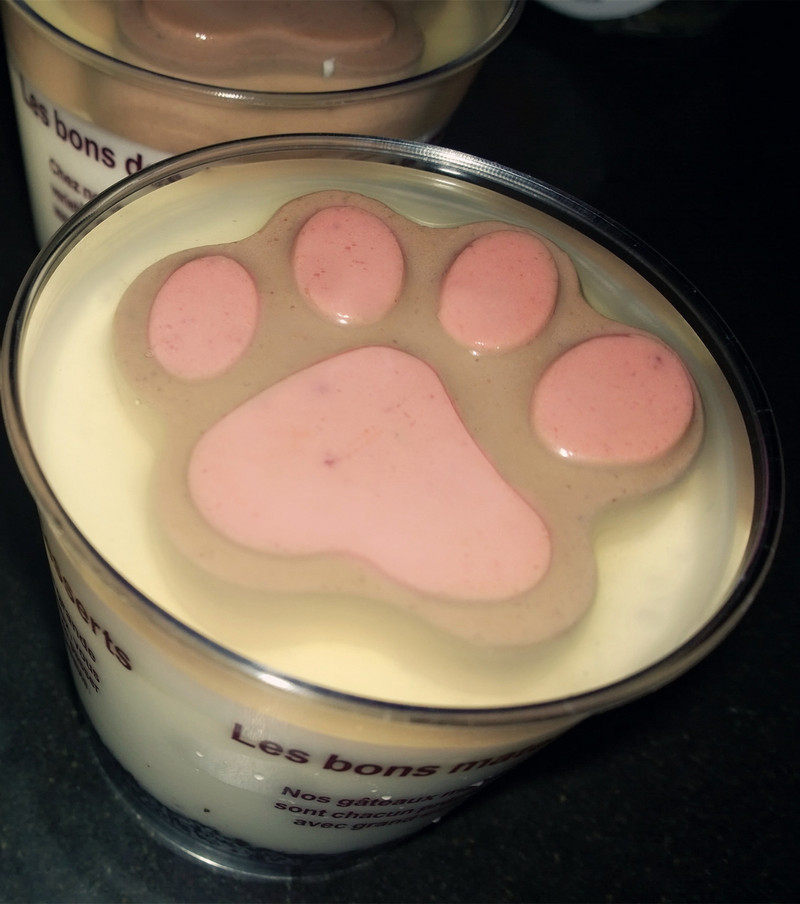 Cat Claw Pudding Frozen Cheesecake Making Steps
