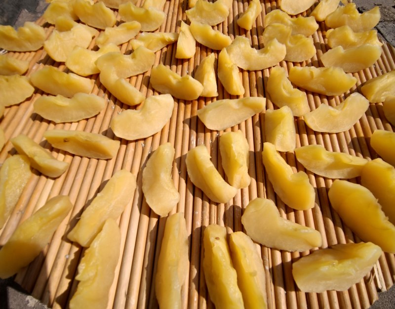 Apple Fruit Leather Making Steps