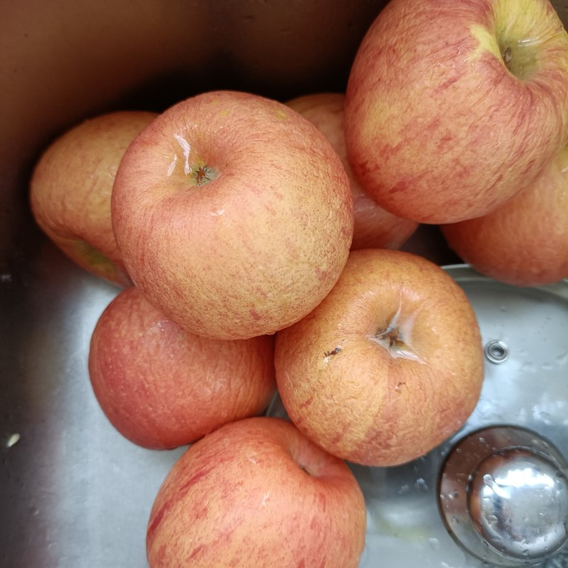 Apple Fruit Leather Making Steps