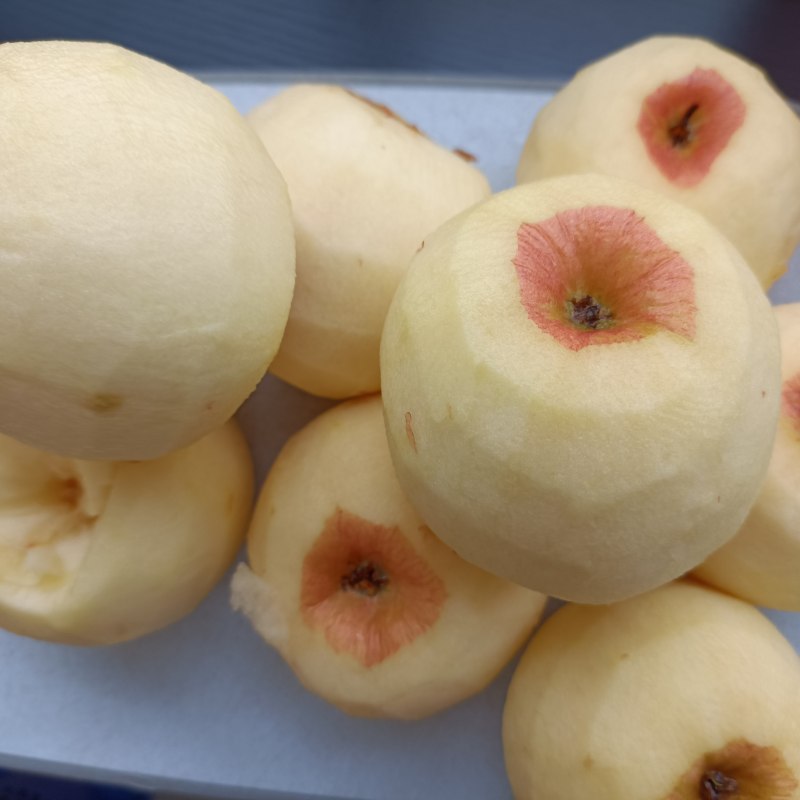 Apple Fruit Leather Making Steps