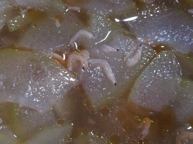 Shrimp and Winter Melon Soup