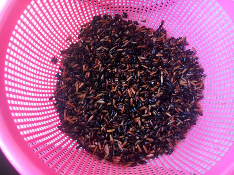 Steps for Making Brown Rice Tea