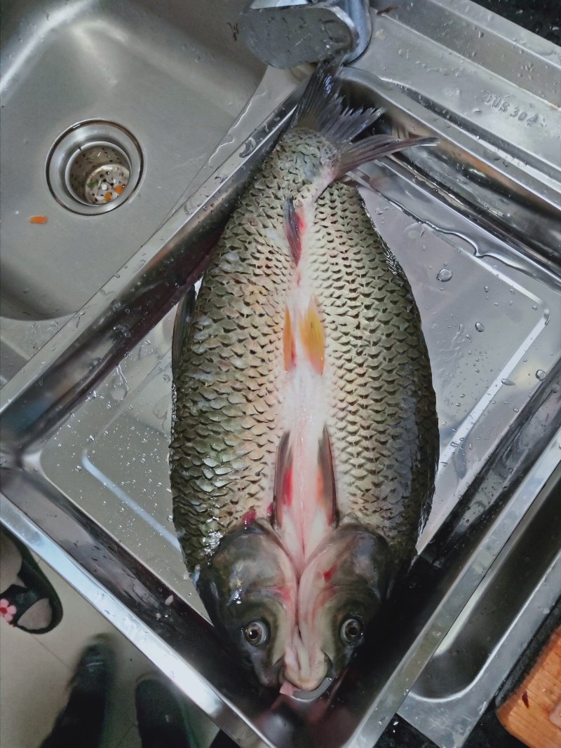 Tujia Grilled Fish Steps