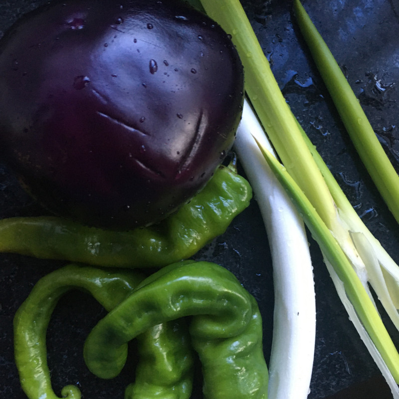 Steps for Making Round Eggplant and Green Pepper Box