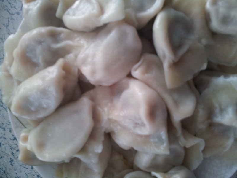 Pork and Scallion Dumplings