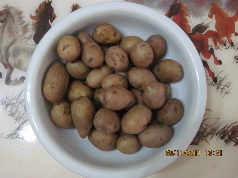 Steps for Cooking Potato Balls