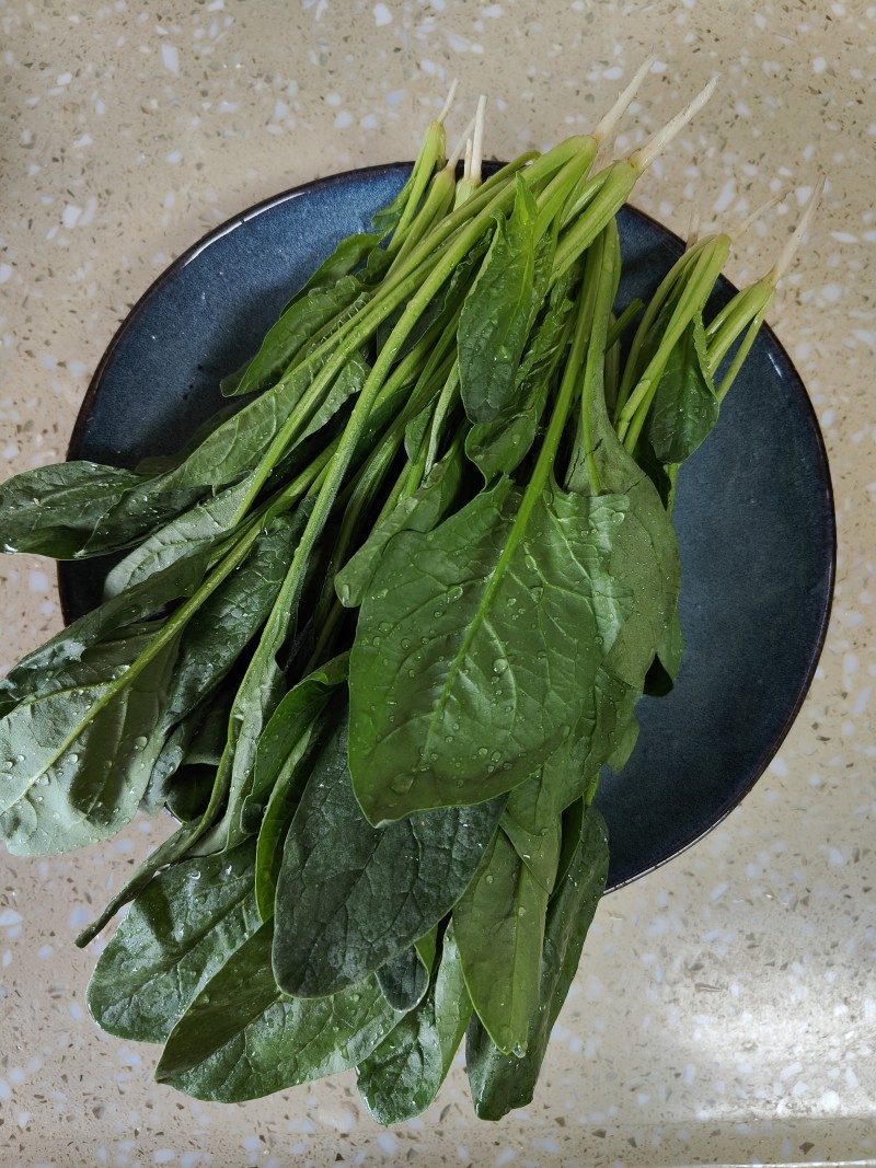 Steps for Making Cold Spinach and Enoki Mushroom Salad