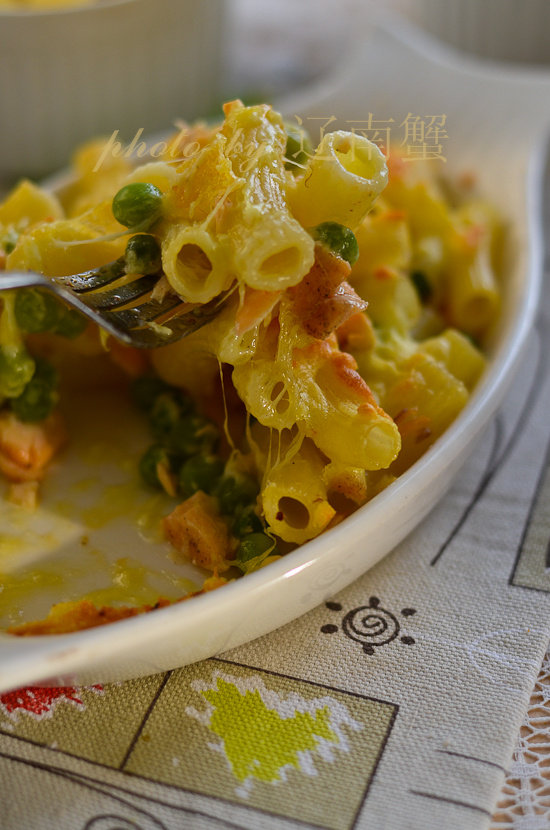 Salmon Cheese Pasta