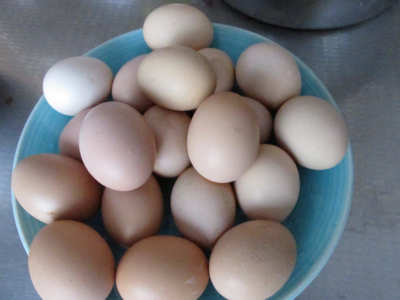 Steps for Roasted Eggs